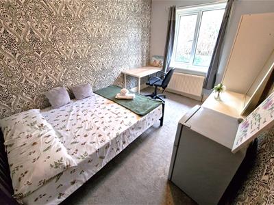 Picture 7